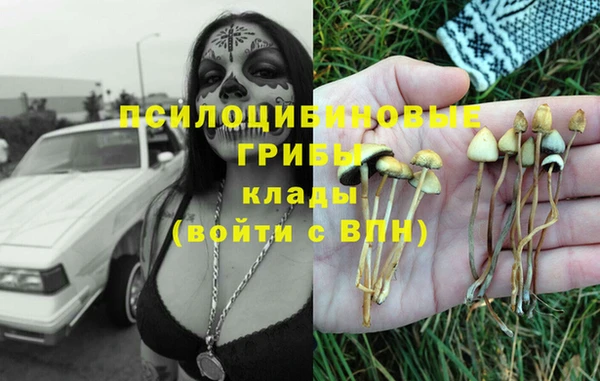 стаф Балабаново