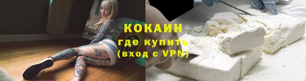 сатива Баксан