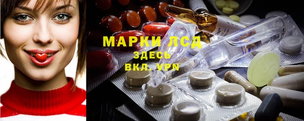 сатива Баксан