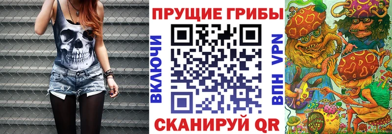 Галлюциногенные грибы Cubensis  мега ONION  Ивангород 